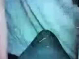 Alanahsinns's live stream