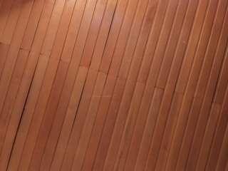 arianne-ferrer webcam