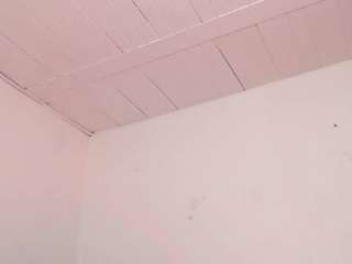 alice-massie1 webcam