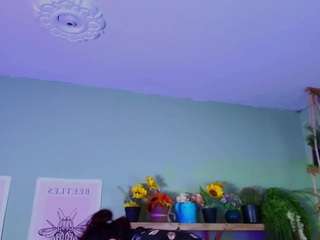 Littlelua