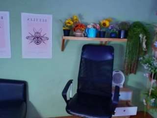 littlelua webcam