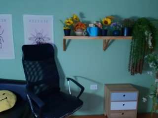 Littlelua