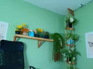 littlelua webcam