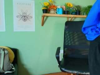 littlelua webcam