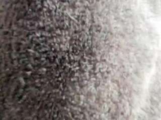 Hotandfierylatinos2024