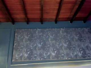 Steffany Beck