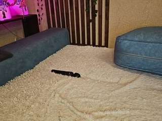 aspirine-mike Live Webcam on CamSoda