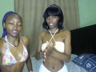 twistingtiger webcam