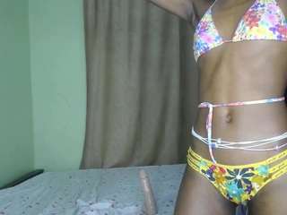 twistingtiger webcam