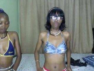 twistingtiger webcam