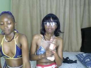 twistingtiger webcam