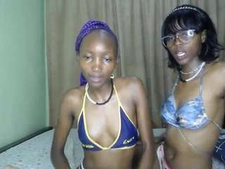 twistingtiger webcam