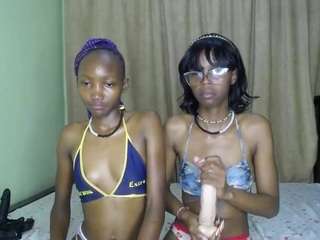 twistingtiger webcam