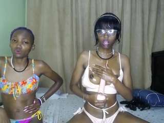 twistingtiger webcam