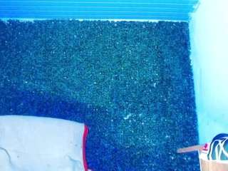 sexymcqueenx24cm webcam model