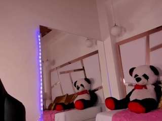 ginebra-ness webcam model