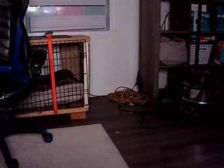 nightlifecouple247 live cam