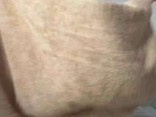 aneelory Live Webcam on CamSoda