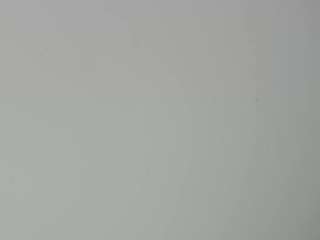  yoursexyandhotprinces chat room