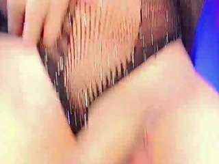 Alexa-Pressly