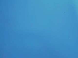 le modèle angela-coffee est en webcam porno dans un show sur le site camsoda, il possède les tags suivants: amateur,lovense,young adult,toys,teen 18,tease,tattoos,spank,shaved-pussy,sex toys,role play,robe,red hair,pussy,ass,lush,orgasm,fingers,chubby,asshole