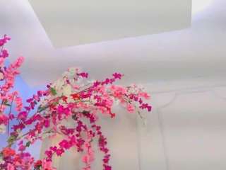 blaisysmith live webcam show