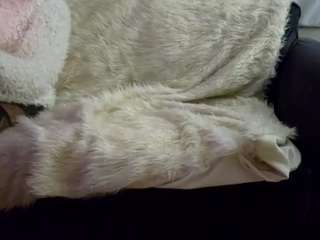 xxvoyeurlifexx webcam