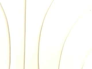 bonieklent Live Webcam on CamSoda