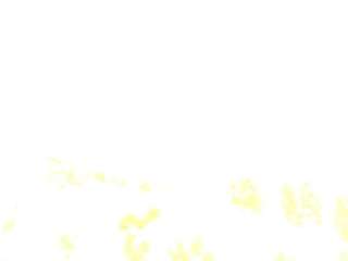 bonieklent live webcam show