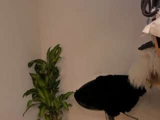 michelle-hots webcam