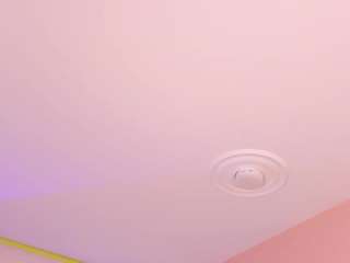 steisymccley webcam