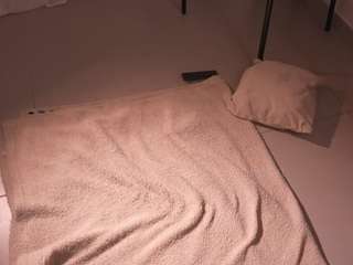 carolart Live Webcam on CamSoda