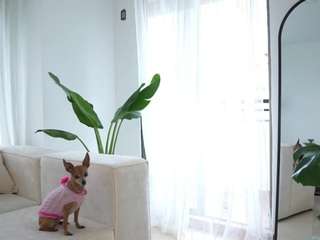 carolart Live Webcam on CamSoda