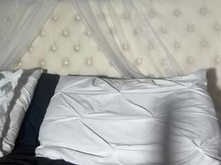 dollege from CamSoda