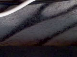 mashaandrocky webcam