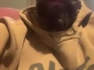 Albanian_Goat_WhiteHammer