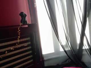 alisssa4's live room