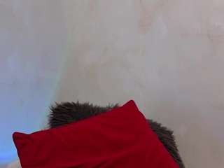 alisssa4