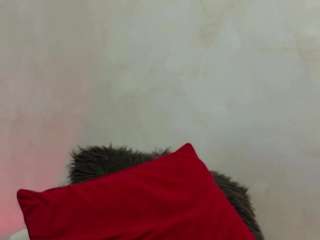 alisssa4 Live Webcam on CamSoda