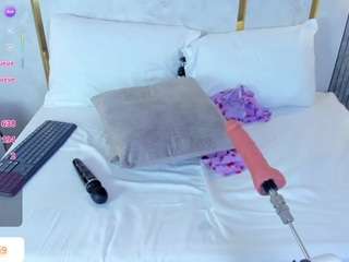 amor-smith webcam
