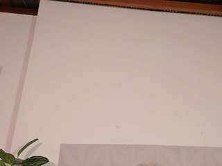 kiimlee webcam