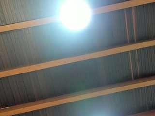 kiimlee Sex Cam Show