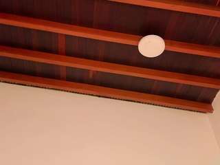 kiimlee live webcam show
