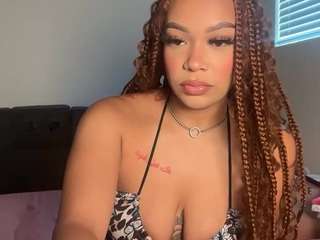 Jazz The Stallion