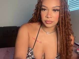 Jazz The Stallion