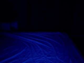 Mavis-Willis live cam preview