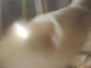 yourpujabhabhi webcam
