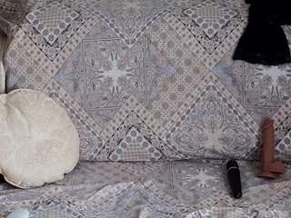 alenaexplorer webcam model