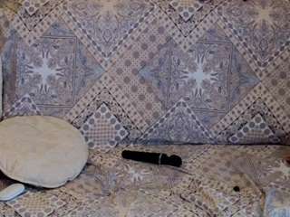 alenaexplorer from CamSoda is Freechat