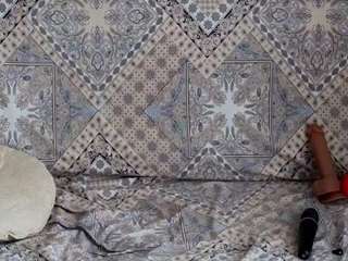 alenaexplorer webcam